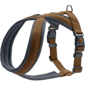 Hunter London Brown Dog Harness - Dog Harness Hunter London Brown Dog Harness - Dog Harness