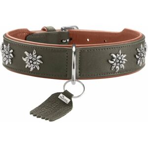 Collier pour chiens Hunter Modèle 69375 - Cuir cognac/vert - Publicité Collier pour chiens Hunter Modèle 69375 - Cuir cognac/vert - Publicité