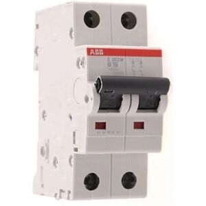 ABB 2P 25A Automaat - DIN Rail Behuizing ABB 2P 25A Automaat - DIN Rail Behuizing