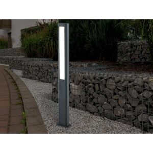 Trio Rhine Modernă Lampa Exterioară - Stâlp cu 2 LED-uri Trio Rhine Modernă Lampa Exterioară - Stâlp cu 2 LED-uri
