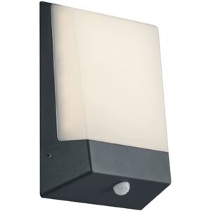 Zewnętrzna lampa ścienna Trio Kasai - 9W IP54 z czujnikiem zmierzchu Zewnętrzna lampa ścienna Trio Kasai - 9W IP54 z czujnikiem zmierzchu