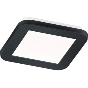 Trio Camillus Loftlampe - Dæmpbar, Sort, 17cm Trio Camillus Loftlampe - Dæmpbar, Sort, 17cm