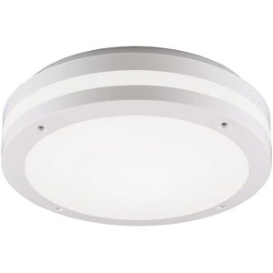 Lámpara exterior Trio Piave IP54 12W 3000K blanco cálido Lámpara exterior Trio Piave IP54 12W 3000K blanco cálido