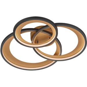 Trio Lighting Granada Modern 36W LED Semi Flush Light Black Matt 71cm 3000K Trio Lighting Granada Modern 36W LED Semi Flush Light Black Matt 71cm 3000K