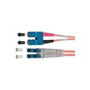 Telegärtner L00890C0039 - Câble à fibre optique InfiniBand 1m 2x SC 2x LC Orange - Publicité Telegärtner L00890C0039 - Câble à fibre optique InfiniBand 1m 2x SC 2x LC Orange - Publicité
