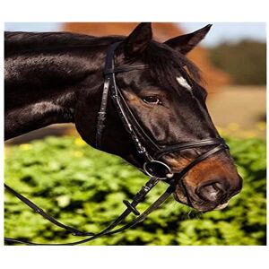 Covalliero Reithalfter - Leder, Cob, Braun - Englisch Covalliero Reithalfter - Leder, Cob, Braun - Englisch
