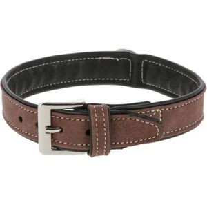 Kerbl - California - 35 mm - 50-58 cm - Collier pour chien - Publicité Kerbl - California - 35 mm - 50-58 cm - Collier pour chien - Publicité