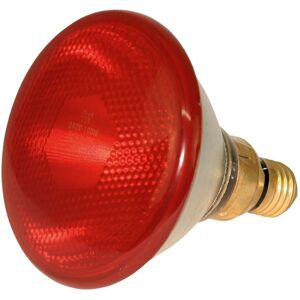Ibanez Lampe à infrarouge à économie d'énergie - Chauffage pour animaux Ibanez Lampe à infrarouge à économie d'énergie - Chauffage pour animaux