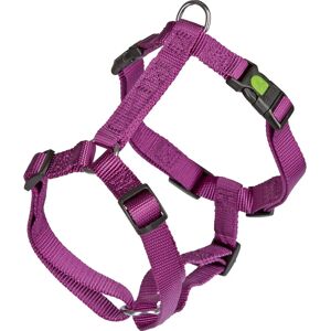 Harnais Miami Lilas - Harness - Publicité Harnais Miami Lilas - Harness - Publicité