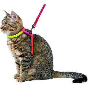 Harnais KERBL Rainbow pour Chat - Nylon, 120 cm - Harnais pour Chat - Publicité Harnais KERBL Rainbow pour Chat - Nylon, 120 cm - Harnais pour Chat - Publicité