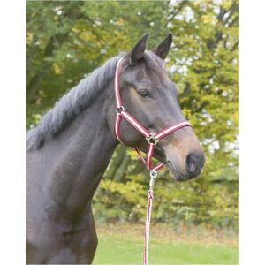 Halter pour chevaux Kerbl - Bordeaux/Beige - Nylon réglable, Acier inoxydable - Publicité Halter pour chevaux Kerbl - Bordeaux/Beige - Nylon réglable, Acier inoxydable - Publicité