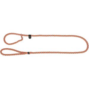 Collier et Laisse Maxisafe Kerbl - Réfléchissant, Réglable - Publicité Collier et Laisse Maxisafe Kerbl - Réfléchissant, Réglable - Publicité