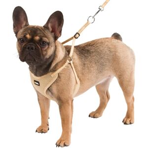 Ensemble harnais et laisse pour chien Kerbl - Maille douce, Beige, XS (24-44 cm) - Chien Ensemble harnais et laisse pour chien Kerbl - Maille douce, Beige, XS (24-44 cm) - Chien