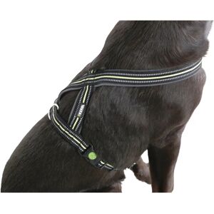 Kerbl Xenos Reflective Dog Harness - Adjustable, Nylon, Black/Neon Yellow Kerbl Xenos Reflective Dog Harness - Adjustable, Nylon, Black/Neon Yellow