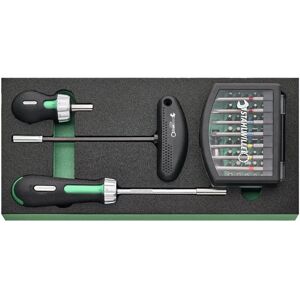 Stahlwille Modèle 2 821/59 Module d'Outils - Type d'Outil - Publicité Stahlwille Modèle 2 821/59 Module d'Outils - Type d'Outil - Publicité