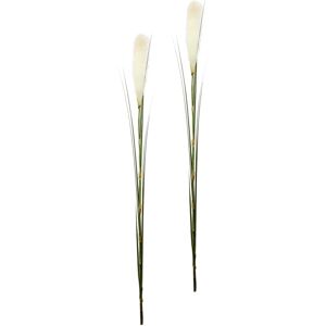 I.GE.A. Pampas Kunstplant - Wit, 2 stuks I.GE.A. Pampas Kunstplant - Wit, 2 stuks