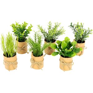 I.GE.A. Kruidenassortiment Kunstplanten - Kunstplanten I.GE.A. Kruidenassortiment Kunstplanten - Kunstplanten