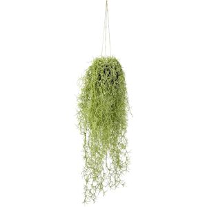 IGEA Mooshänger - Kunstplant - 70cm hoog - Interieurdecoratie IGEA Mooshänger - Kunstplant - 70cm hoog - Interieurdecoratie