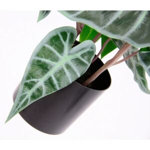 I.GE.A. Calathea konstgjord växt - Realistisk, Inomhus & Utomhus Dekoration I.GE.A. Calathea konstgjord växt - Realistisk, Inomhus & Utomhus Dekoration