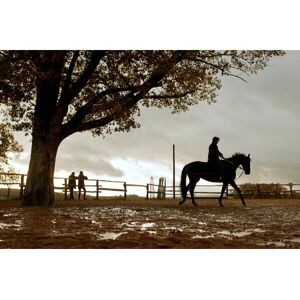 Koch Jappeloup - Special Edition - Blu-ray / DVD Koch Jappeloup - Special Edition - Blu-ray / DVD