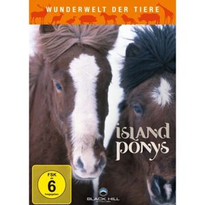 PLAION DVM010182D - Island Ponys DVD - Deutsch PLAION DVM010182D - Island Ponys DVD - Deutsch