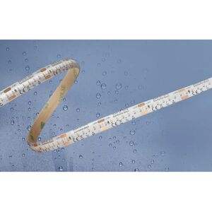 Barthelme Basic Bande LED - 5m, IP54, Blanc Neutre, 24V/DC Barthelme Basic Bande LED - 5m, IP54, Blanc Neutre, 24V/DC