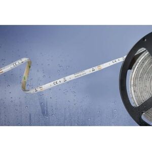 Barthelme Basic LED-strip - 5m, Binnen/Buiten, Warmwit/Wit Barthelme Basic LED-strip - 5m, Binnen/Buiten, Warmwit/Wit