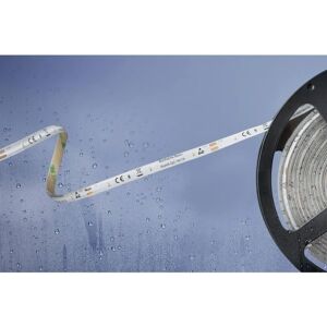 Barthelme Basic Bande LED - Blanc neutre - 5m - IP54 - Intérieur/Extérieur - Publicité Barthelme Basic Bande LED - Blanc neutre - 5m - IP54 - Intérieur/Extérieur - Publicité