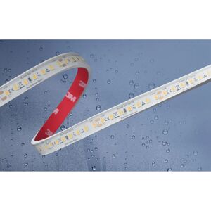 Barthelme Basic Tira LED - IP67 Resistente al agua, 5m, Interior/Exterior Barthelme Basic Tira LED - IP67 Resistente al agua, 5m, Interior/Exterior