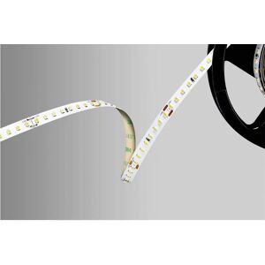 Barthelme LED Streifen 51542233 - Innenbereich 24V 5000mm Weiss Barthelme LED Streifen 51542233 - Innenbereich 24V 5000mm Weiss