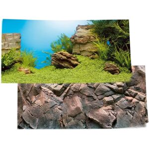 Juwel Aquarium Fish Poster 1 Background - Aquarium Background Juwel Aquarium Fish Poster 1 Background - Aquarium Background