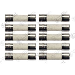 Vaillant 0020067507 Sicherung - 2 Amp - Packung mit 10 Vaillant 0020067507 Sicherung - 2 Amp - Packung mit 10
