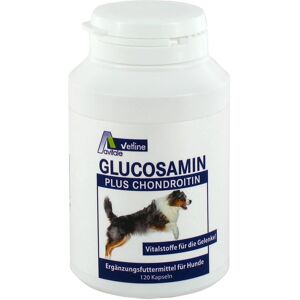Avitale GmbH Glukozamin+Kondroitin Kapszulák - Ízületi Egészség Támogatása - 120 Kapszula Avitale GmbH Glukozamin+Kondroitin Kapszulák - Ízületi Egészség Támogatása - 120 Kapszula