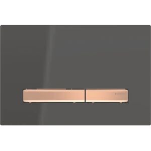 Geberit 115.670.DW.2 Spoelplaat Zwart, Rood - Spoelplaat Geberit 115.670.DW.2 Spoelplaat Zwart, Rood - Spoelplaat