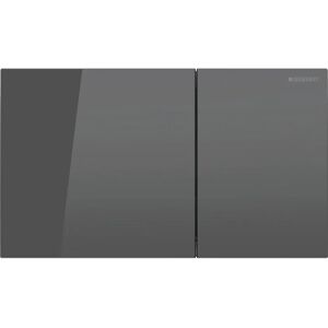 Geberit 115.622.JK.1 pièce de rechange pour WC Plaque de chasse - Plaque de chasse pour WC Geberit 115.622.JK.1 pièce de rechange pour WC Plaque de chasse - Plaque de chasse pour WC