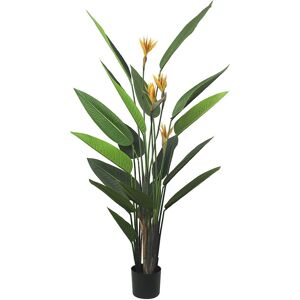KARE DESIGN - Paradise Flowers - 190 cm - Wewnątrz - Roślina dekoracyjna KARE DESIGN - Paradise Flowers - 190 cm - Wewnątrz - Roślina dekoracyjna