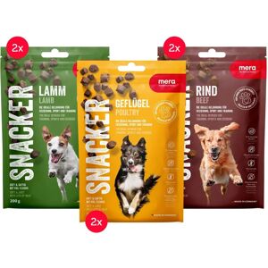 Nourriture pour animaux MERA - Barquettes et snacks pour chiens - Sans céréales - Publicité Nourriture pour animaux MERA - Barquettes et snacks pour chiens - Sans céréales - Publicité