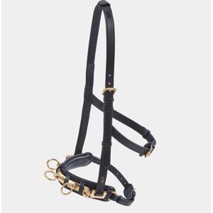 Busse Pferdehalfter Professional - Verstellbares Leder aus Pflanzenharz Busse Pferdehalfter Professional - Verstellbares Leder aus Pflanzenharz