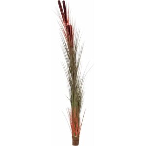 Europalms Rivegras med kattehaler - Kunstplante 152cm Europalms Rivegras med kattehaler - Kunstplante 152cm