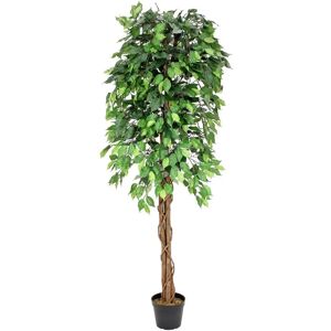 Europalms Ficus-Benjamini Træ - Flere Stammer - 180cm - Kunstplante Europalms Ficus-Benjamini Træ - Flere Stammer - 180cm - Kunstplante