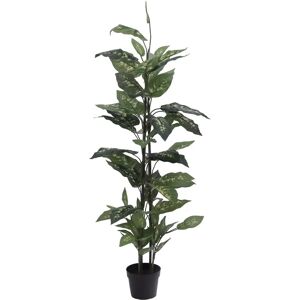EUROPALMS Dieffenbachia Kunstplante - Tropisk Innendekorasjon EUROPALMS Dieffenbachia Kunstplante - Tropisk Innendekorasjon