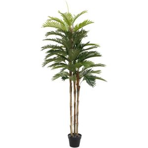 EUROPALMS Kentia Palmen - Naturlig Stamme, Tekstilblader - 150cm EUROPALMS Kentia Palmen - Naturlig Stamme, Tekstilblader - 150cm