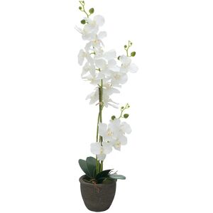 EUROPALMS Orchidée - Kunstpflante, Hvid, 80cm - Blomster EUROPALMS Orchidée - Kunstpflante, Hvid, 80cm - Blomster