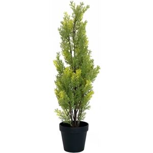 EUROPALMS Tjære - 60cm - Kunstig Plante - Indendørs & Udendørs EUROPALMS Tjære - 60cm - Kunstig Plante - Indendørs & Udendørs