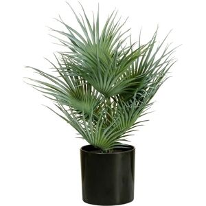 EUROPALMS Fächerpalme, Künstliche Pflanze - 55cm - Innen/Außen Dekor EUROPALMS Fächerpalme, Künstliche Pflanze - 55cm - Innen/Außen Dekor