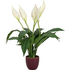 EUROPALMS Lily Peace Kunstplante - 49cm EUROPALMS Lily Peace Kunstplante - 49cm