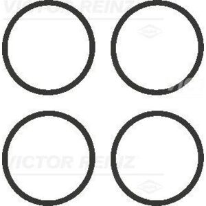 Juego de juntas REINZ 11-77542-01 - Colector de admisión Juego de juntas REINZ 11-77542-01 - Colector de admisión