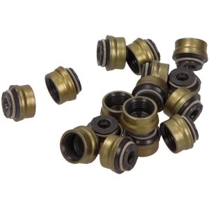REINZ 12-34223-02 Valve Stem Seal Set - Automotive Parts REINZ 12-34223-02 Valve Stem Seal Set - Automotive Parts