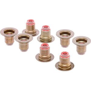 REINZ Opel Ford Fiat ventilstångs packningssats REINZ Opel Ford Fiat ventilstångs packningssats