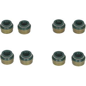 REINZ 12-34439-01 Venttiilinjohdintiivistesarja - Valve Stem Seal Set REINZ 12-34439-01 Venttiilinjohdintiivistesarja - Valve Stem Seal Set